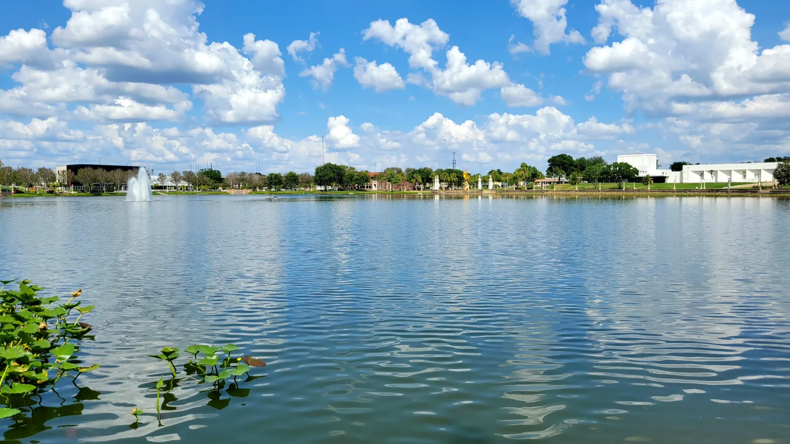 Lake Mirror in downtown Lakeland under a blue sky with white clouds